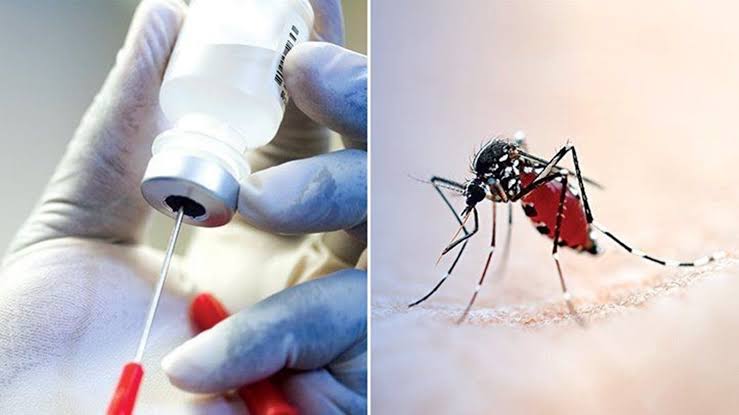 Breakthrough Malaria Vaccine Achieves 80% Efficacy