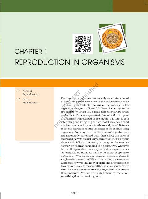 Class 12 Biology Chapter 1 Reproduction in Organisms