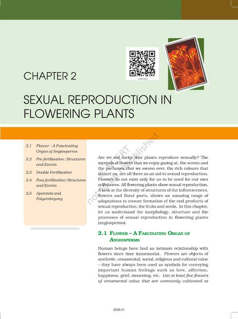 Class 12 Biology Chapter 2 Sexual Reproduction in Flowering Plants